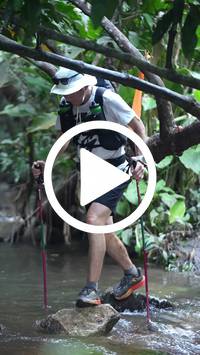 BIB:  <button type="button" onclick="openModal(27824751)" class="btn btn-primary btn-sm float-right" data-toggle="modal" data-target=".modal-high-quality">
                <i class="fa fa-download"></i> Download
                </button>